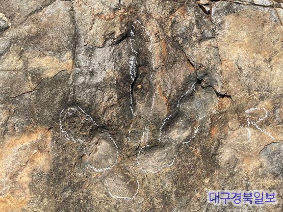 의성군, 초식·육식 공룡 발자국 화석 다수 발견.jpg