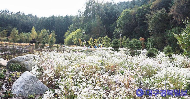 국립백두대간수목원, 2022 가을꽃 자생식물 전시회 개최